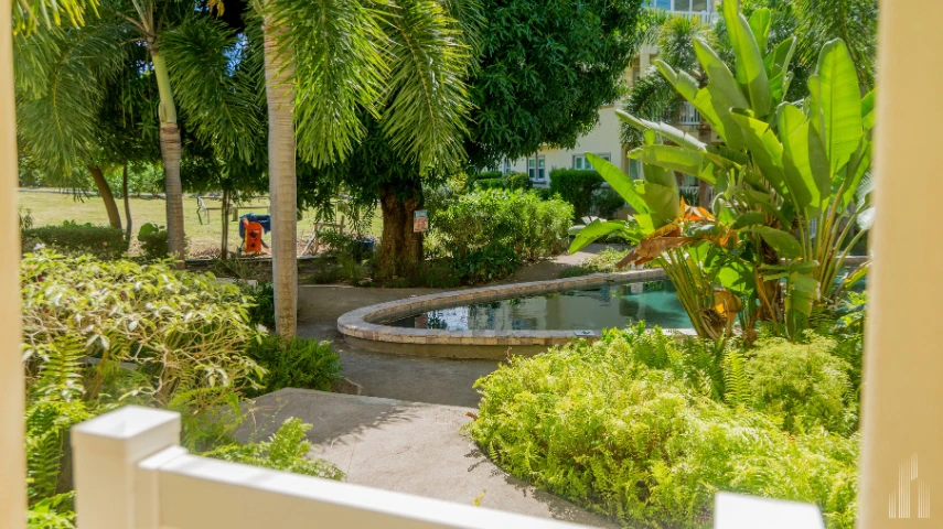 tropical scenery and stunning Caribbean views